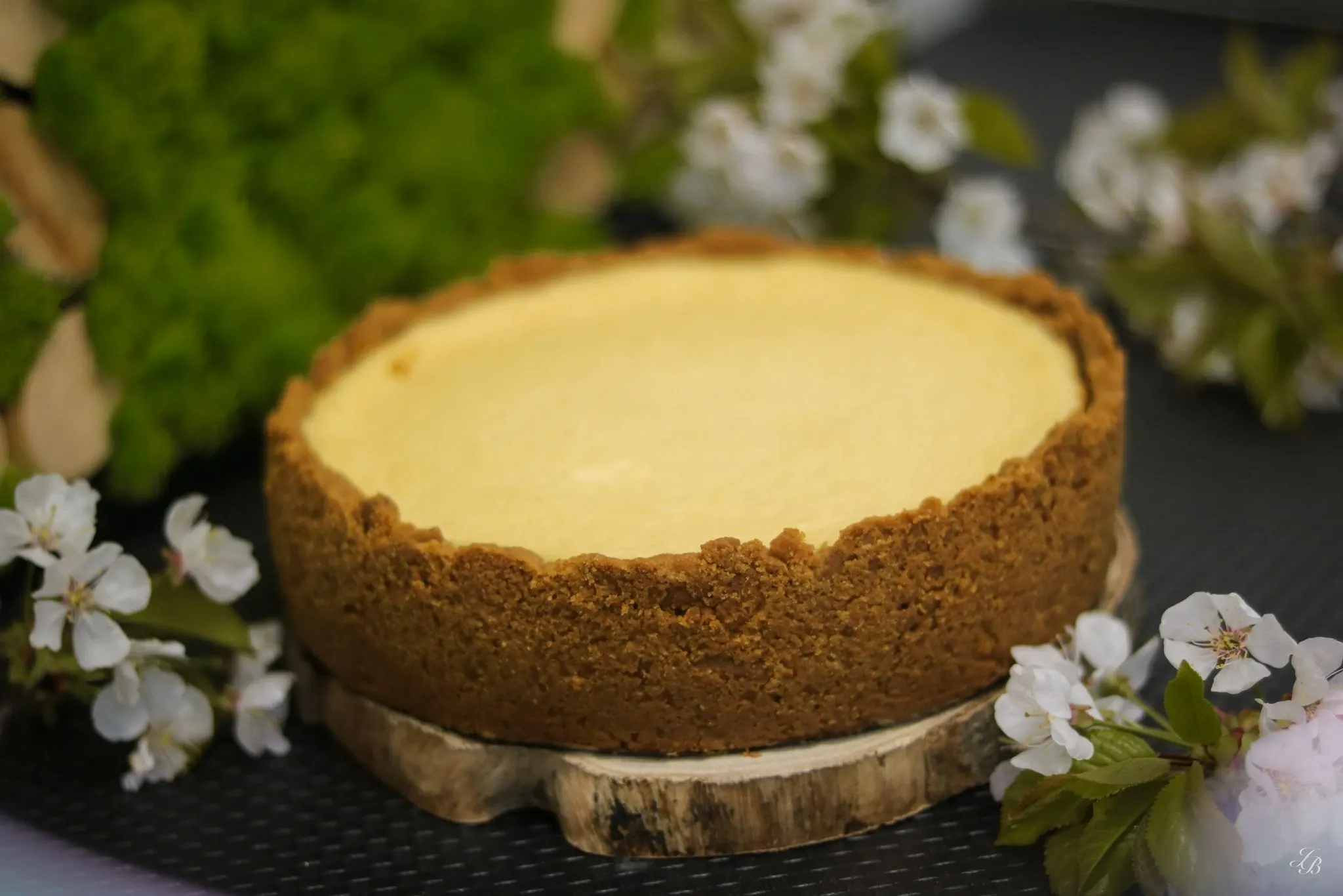 Cheesecake copt 